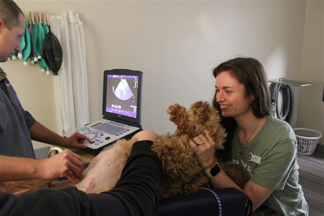 Images Ridgeview Animal Hospital