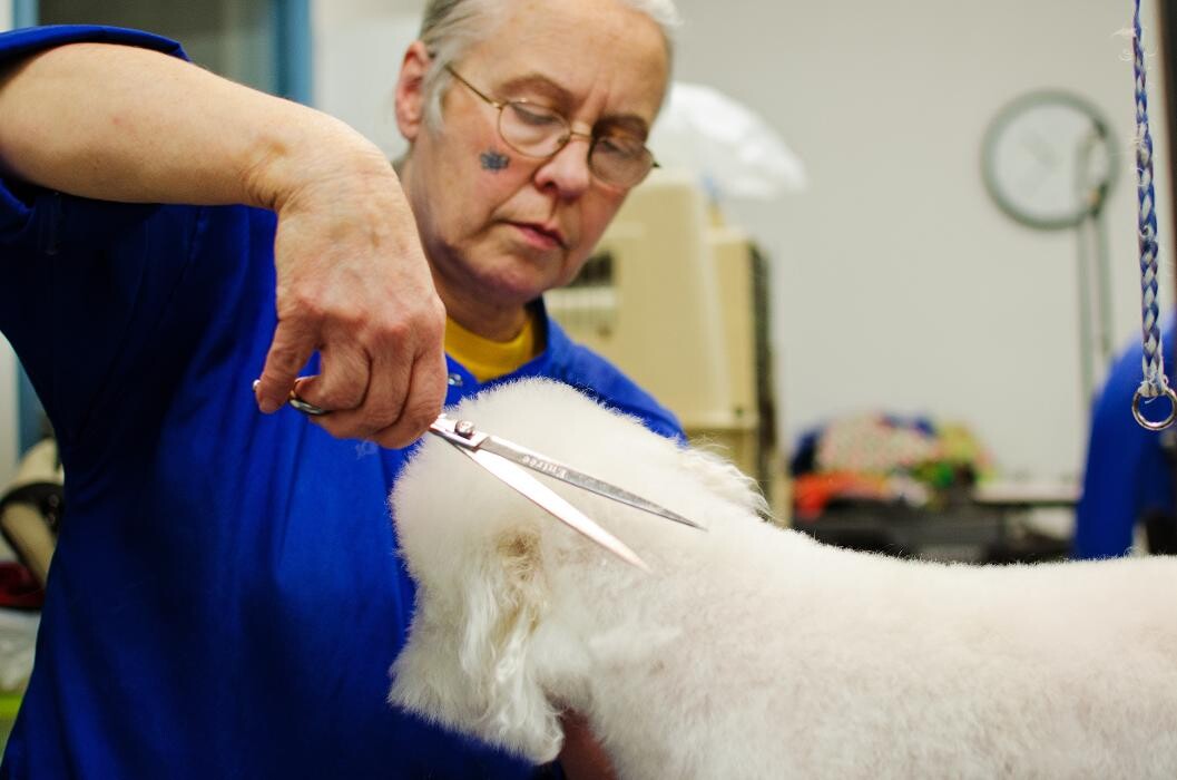 Images Ridgeview Animal Hospital