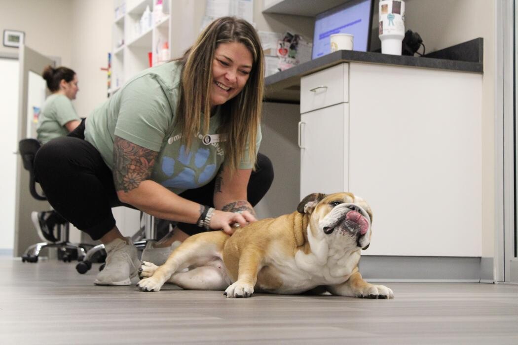 Images Ridgeview Animal Hospital