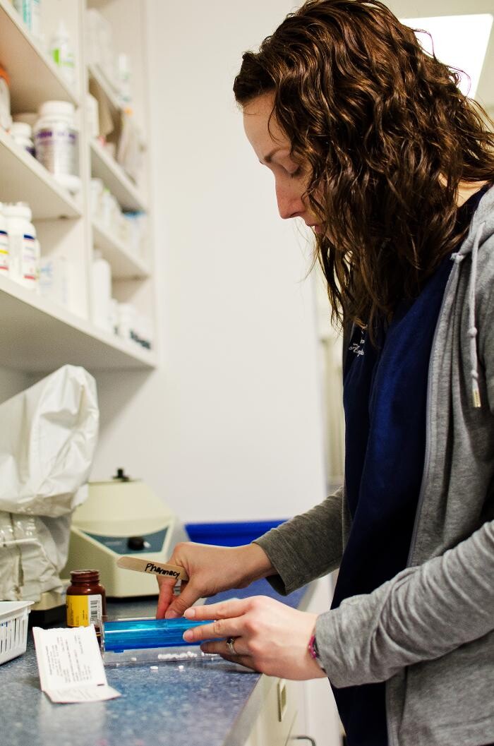 Images Ridgeview Animal Hospital