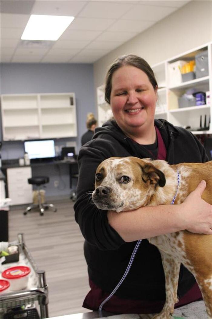 Images Ridgeview Animal Hospital