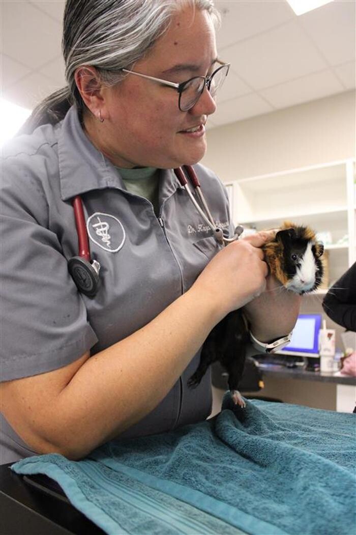 Images Ridgeview Animal Hospital