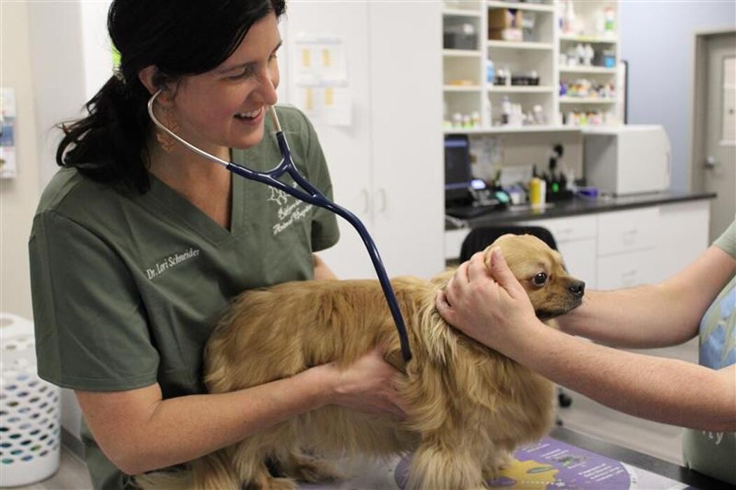 Images Ridgeview Animal Hospital