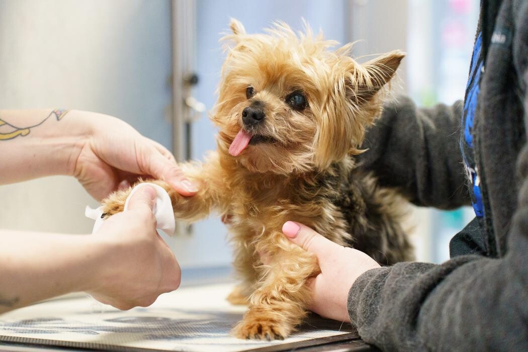 Images Ridgeview Animal Hospital