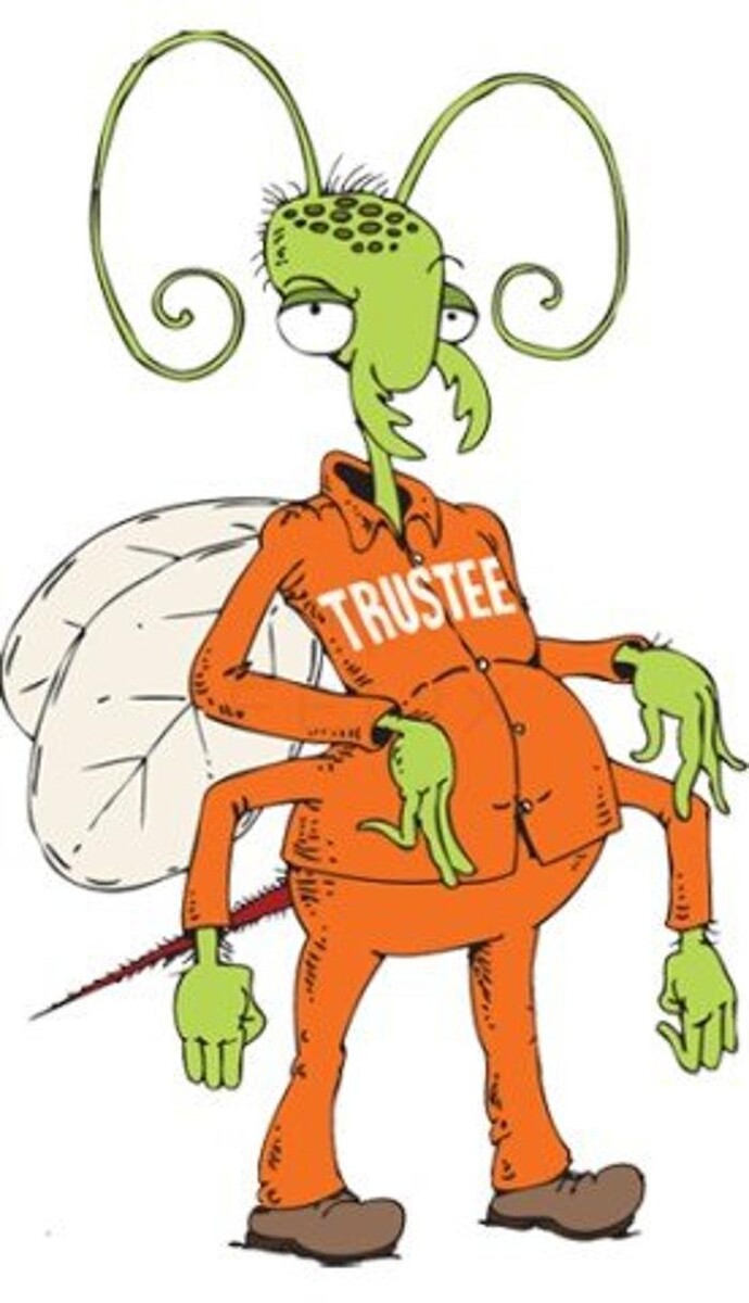 Images Lloyd Pest & Termite Control