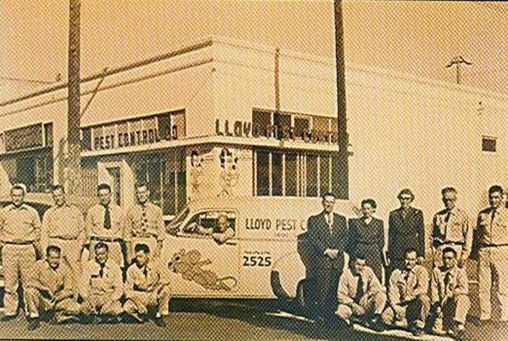 Images Lloyd Pest & Termite Control