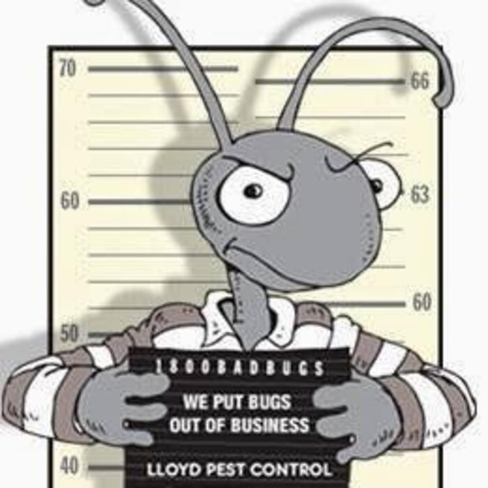 Images Lloyd Pest & Termite Control