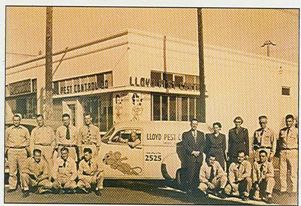 Images Lloyd Pest & Termite Control