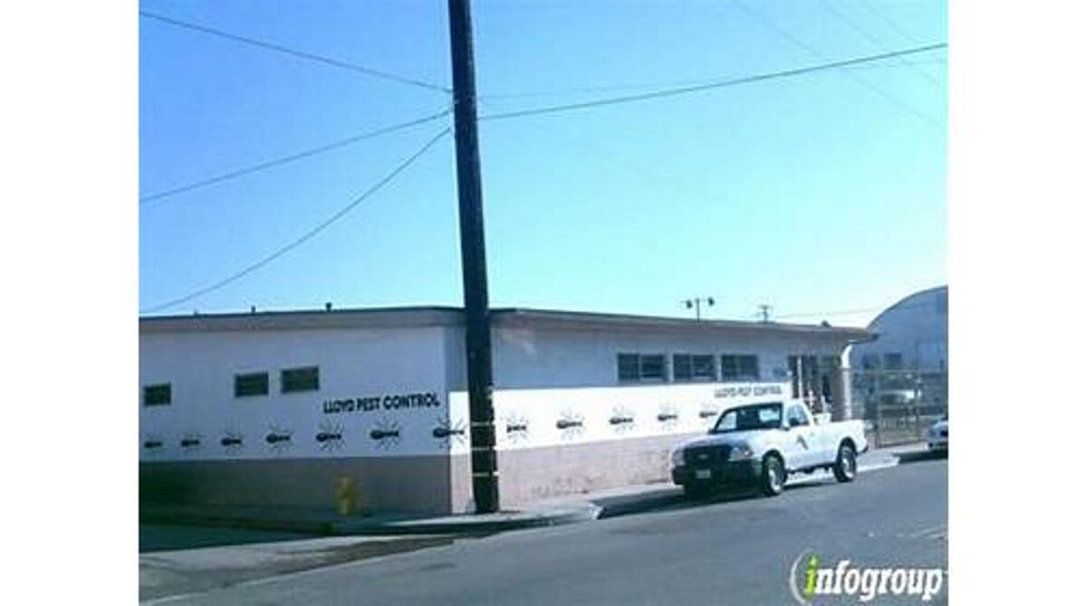 Images Lloyd Pest & Termite Control