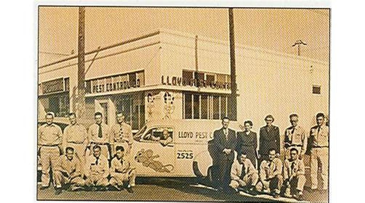Images Lloyd Pest & Termite Control