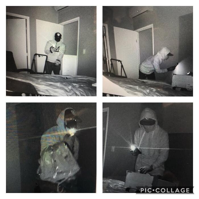 Images Lloyd Pest & Termite Control
