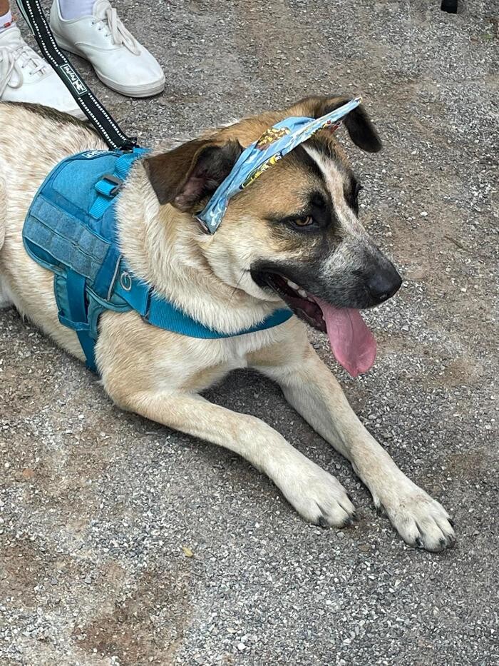 Images Farmers Insurance - Angela Schertle