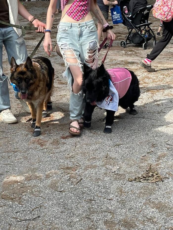 Images Farmers Insurance - Angela Schertle