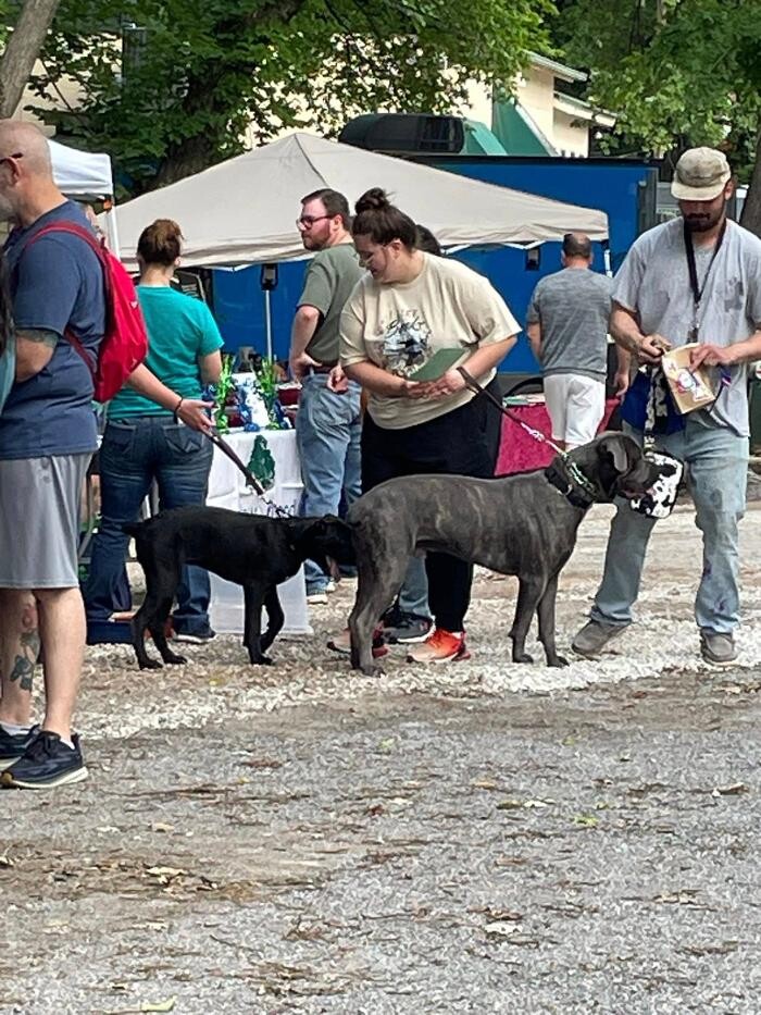 Images Farmers Insurance - Angela Schertle