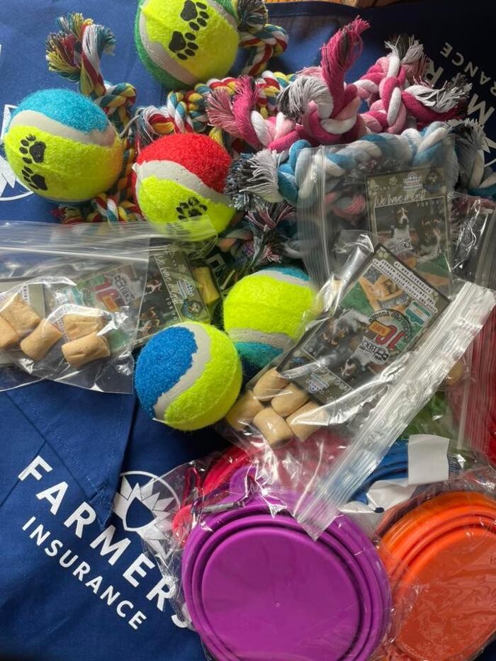 Images Farmers Insurance - Angela Schertle