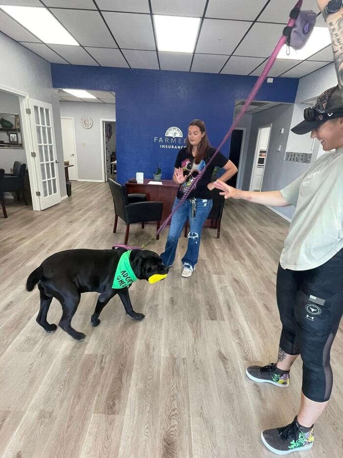 Images Farmers Insurance - Angela Schertle