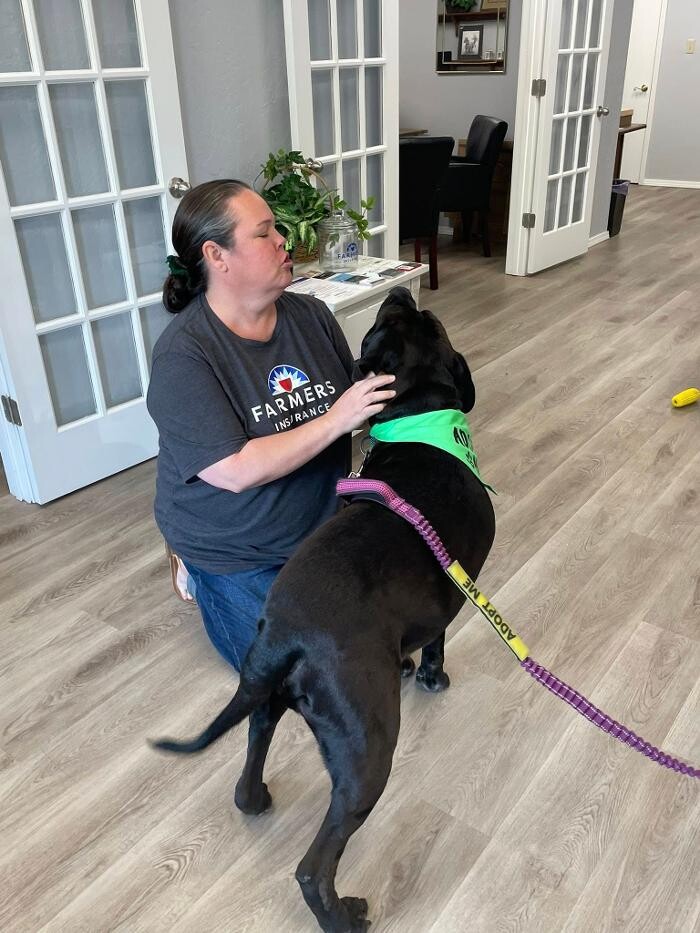 Images Farmers Insurance - Angela Schertle