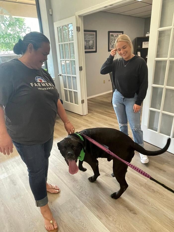 Images Farmers Insurance - Angela Schertle