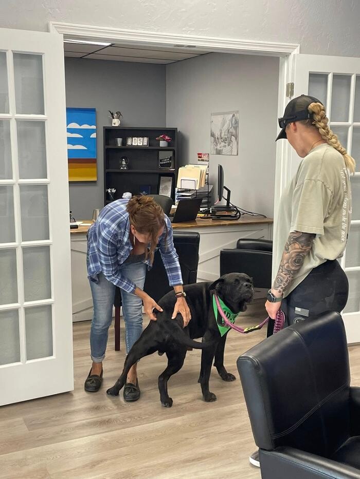 Images Farmers Insurance - Angela Schertle