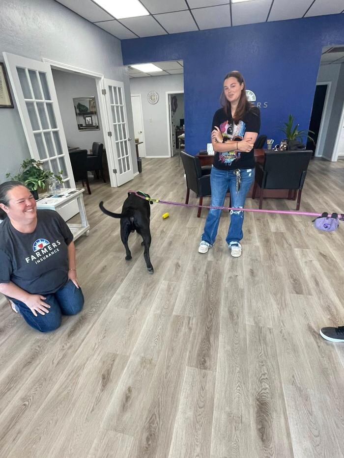 Images Farmers Insurance - Angela Schertle