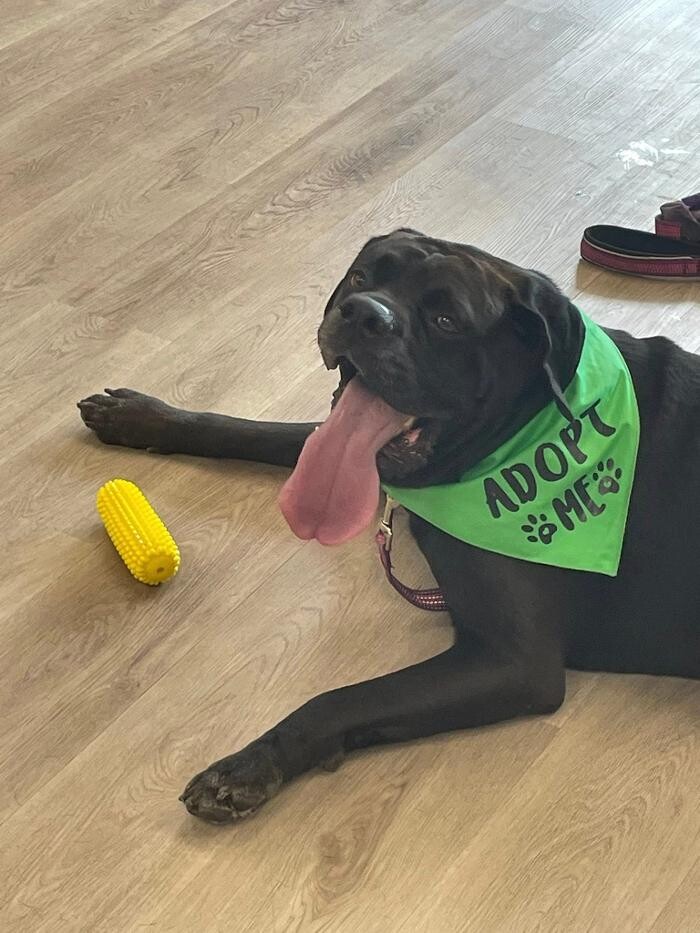 Images Farmers Insurance - Angela Schertle