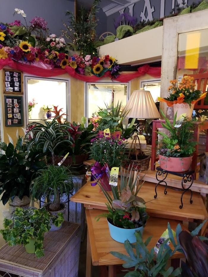 Images Main Floral