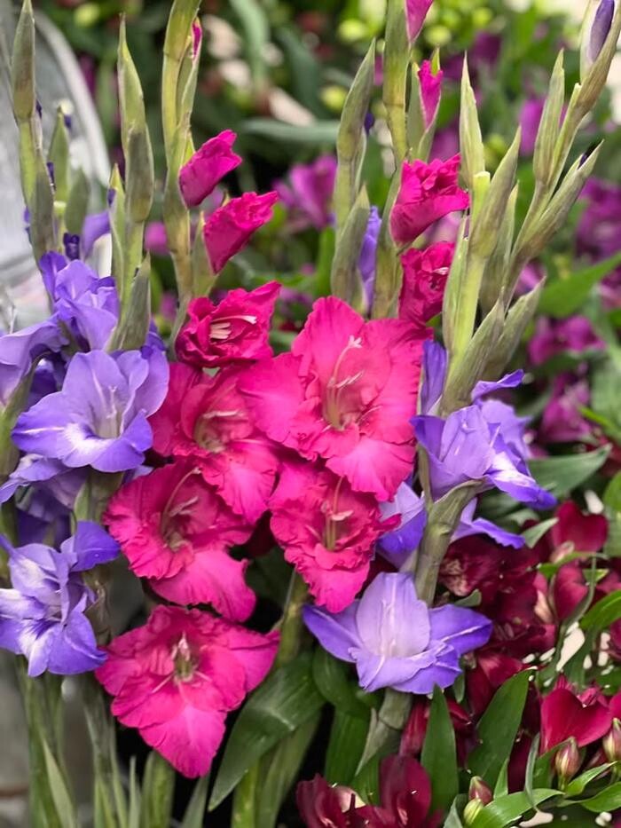 Images Main Floral