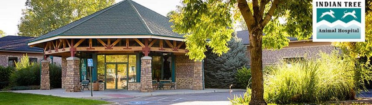 Images Indian Tree Animal Hospital