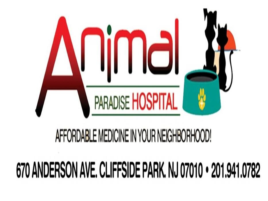 Animal Paradise Hospital Logo