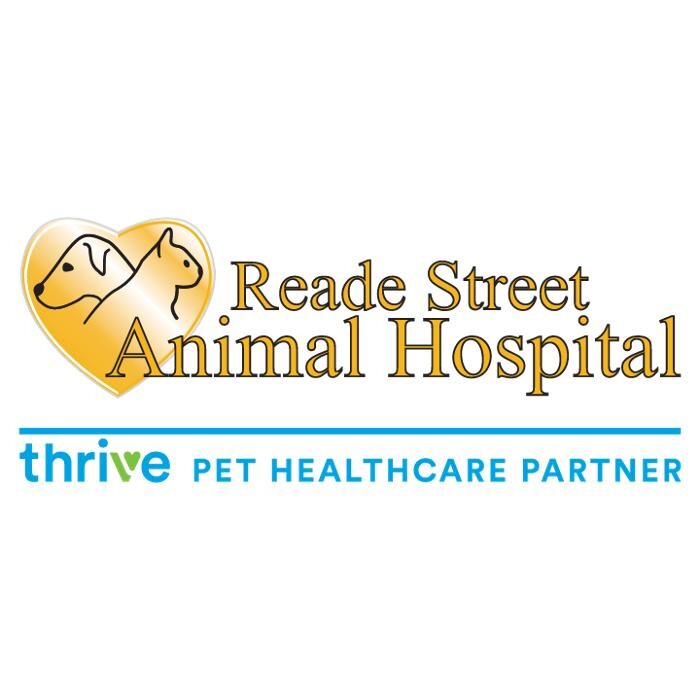 Reade Street Animal Hospital, A Thrive Pet Healthcare Partner Logo