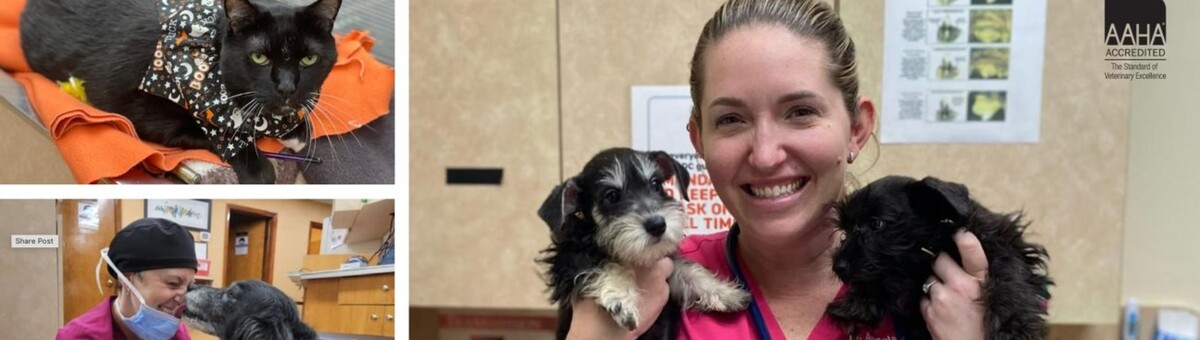 Images Skippack Animal Hospital