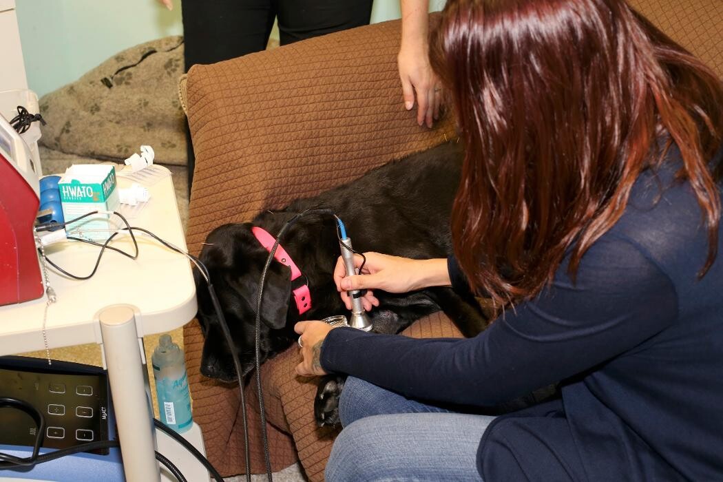 Images Skippack Animal Hospital