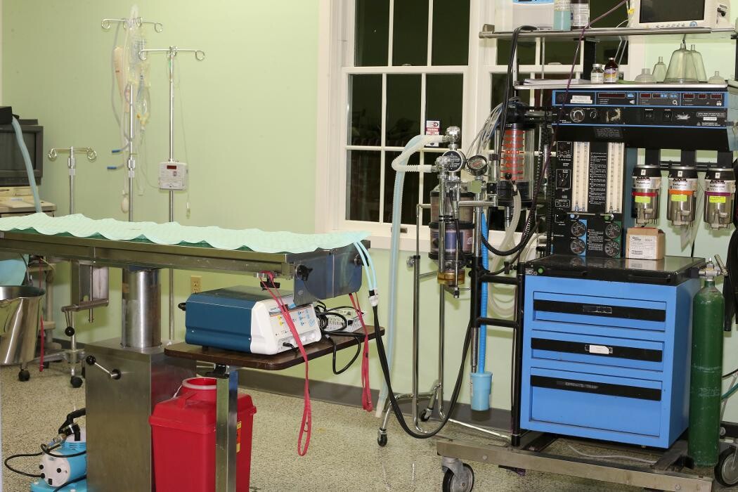 Images Skippack Animal Hospital