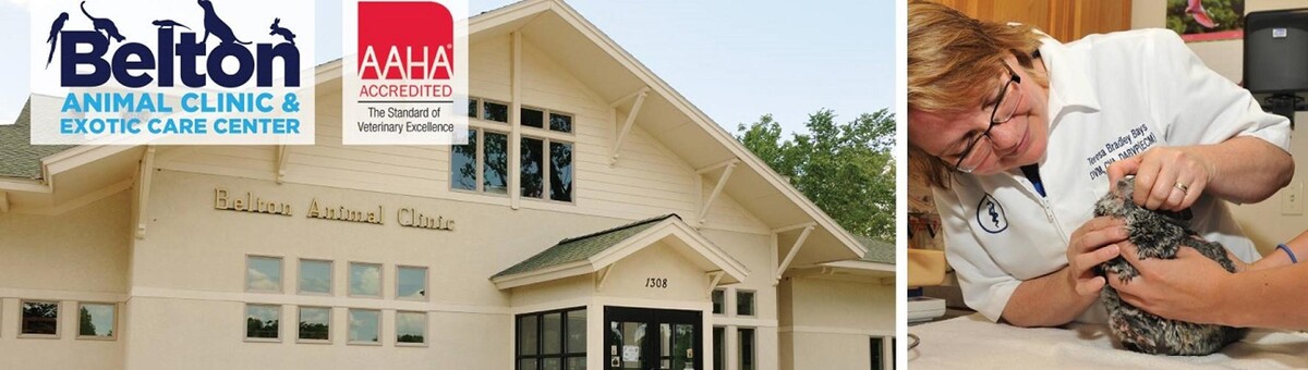 Images Belton Animal Clinic & Exotic Care Center