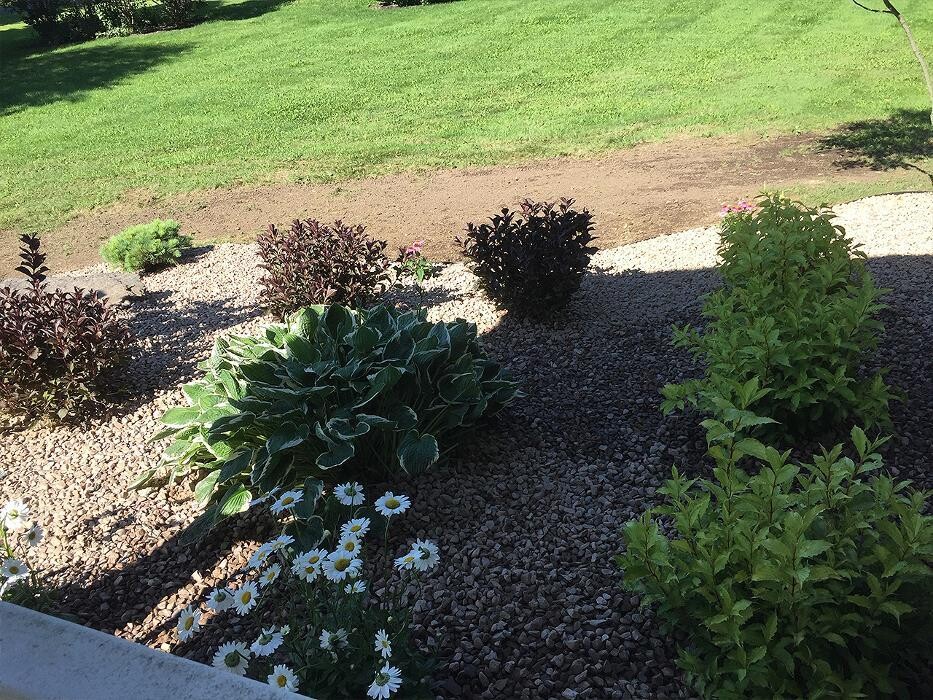 Images A Cut Above Landscape