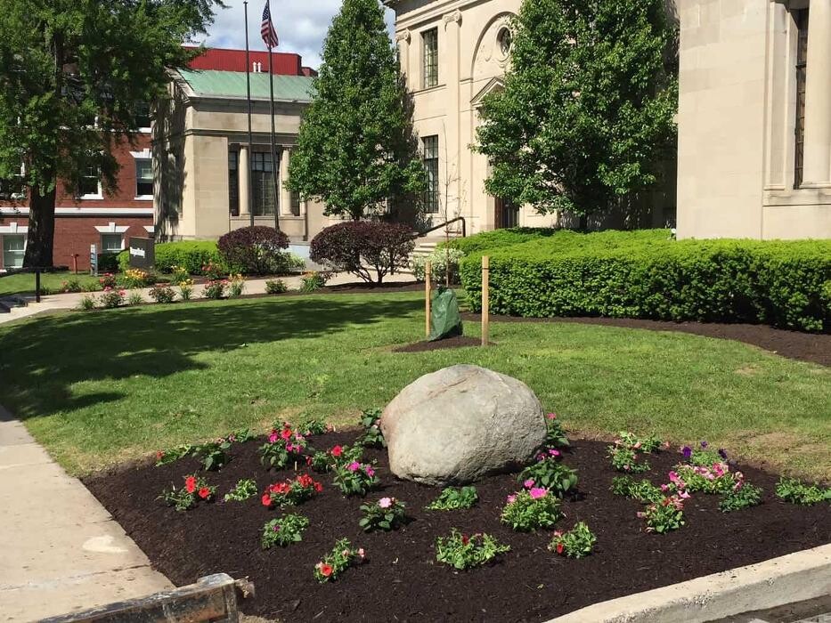 Images A Cut Above Landscape