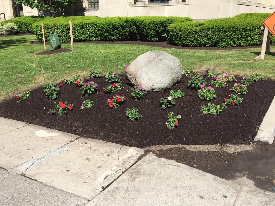 Images A Cut Above Landscape