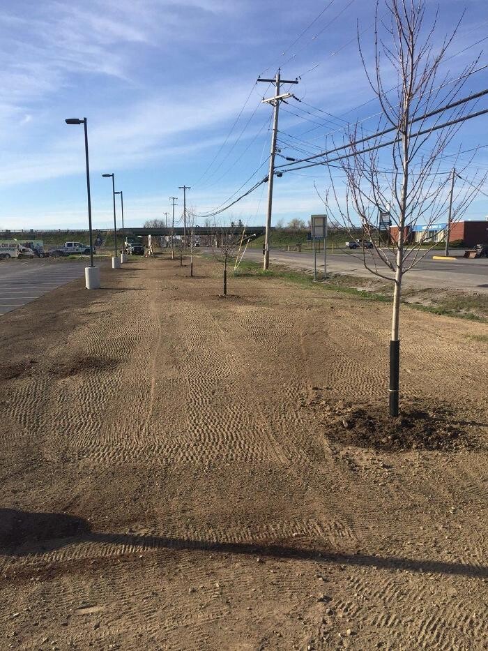 Images A Cut Above Landscape