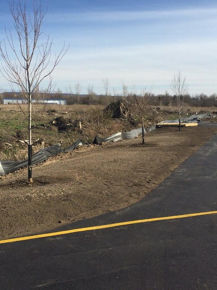 Images A Cut Above Landscape