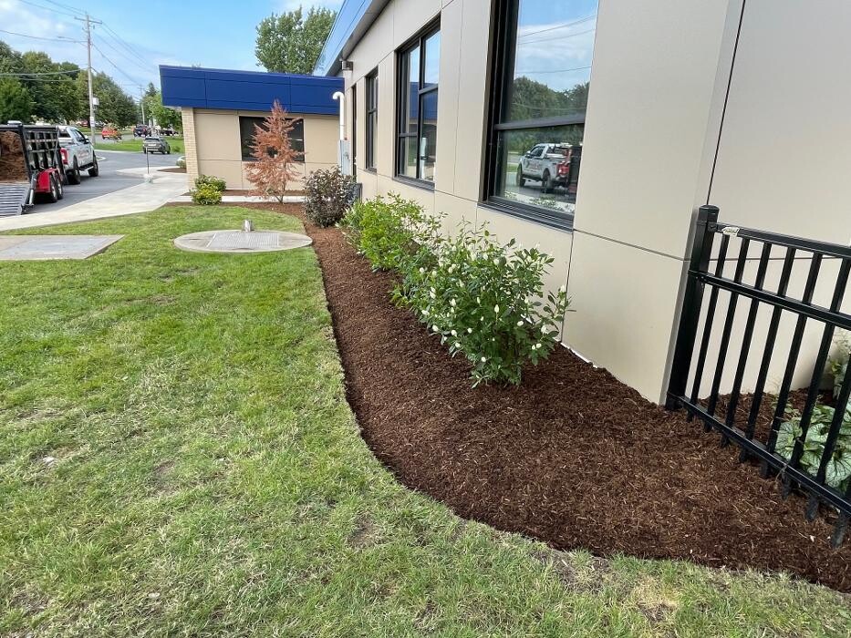 Images A Cut Above Landscape