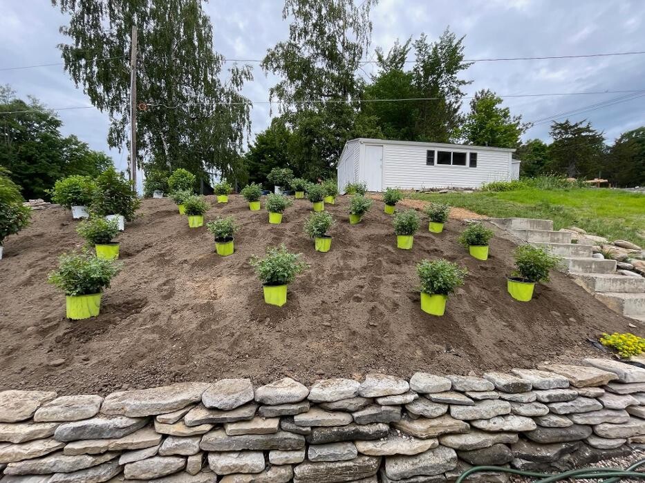 Images A Cut Above Landscape