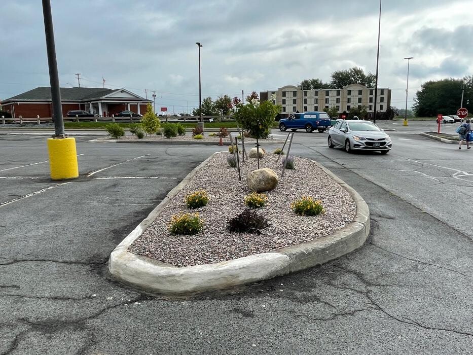 Images A Cut Above Landscape