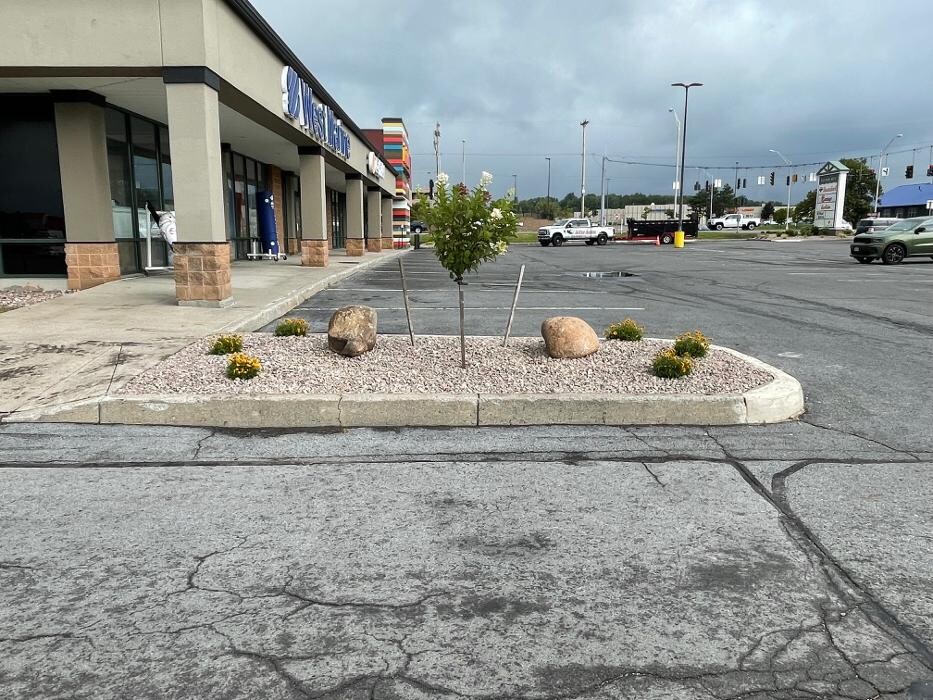 Images A Cut Above Landscape