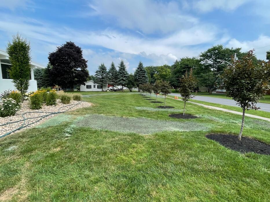 Images A Cut Above Landscape