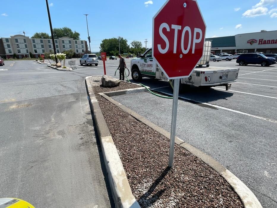 Images A Cut Above Landscape