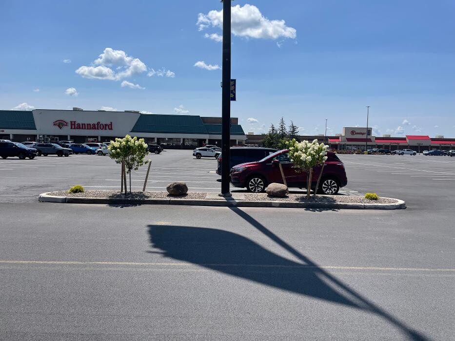 Images A Cut Above Landscape