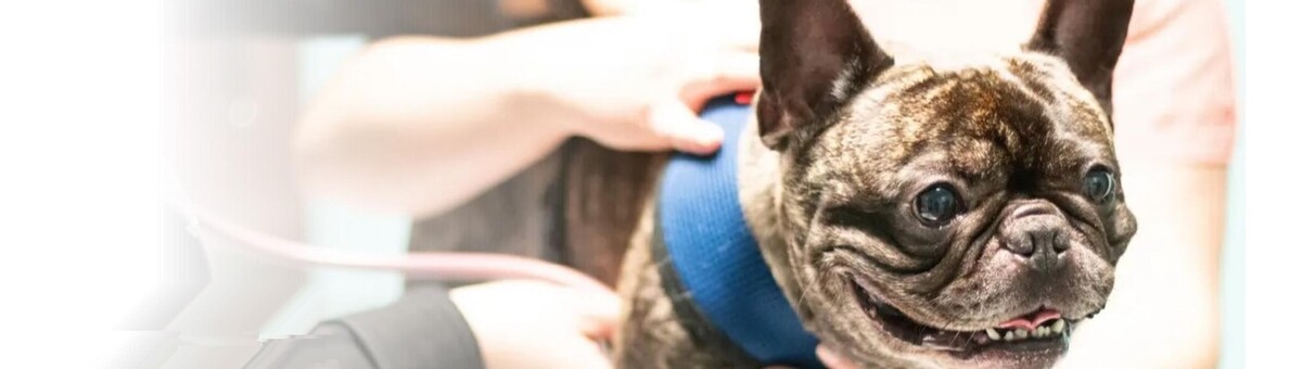 Images South Putnam Animal Hospital