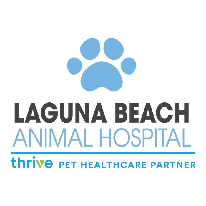 Laguna Beach Animal Hospital : LAGUNABEACH Logo