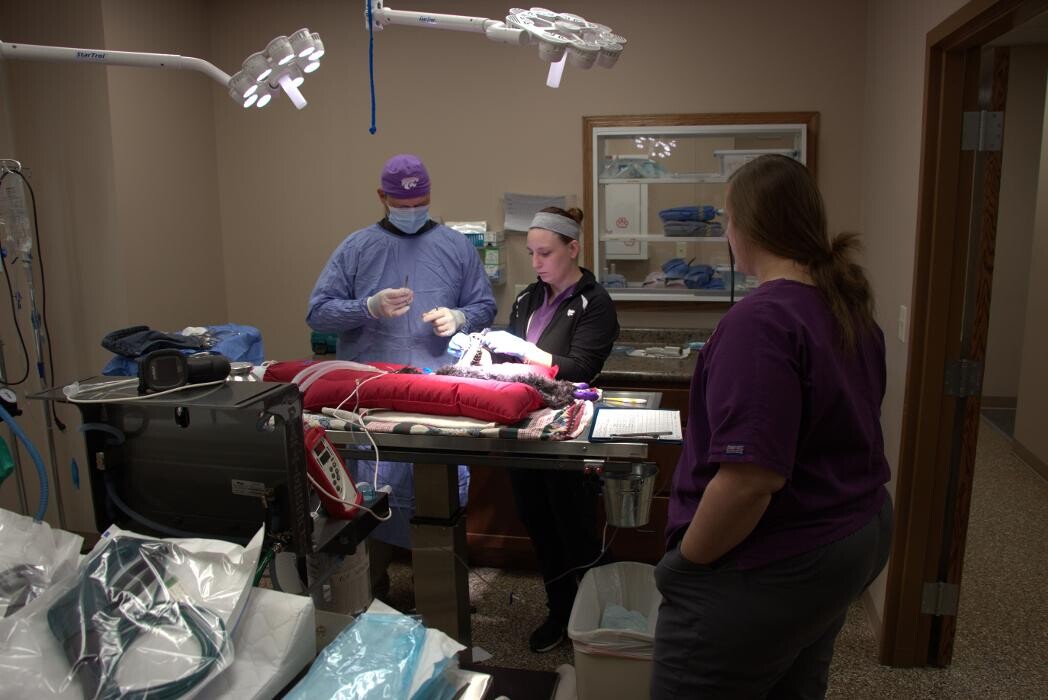 Images Westside Family Pet Clinic