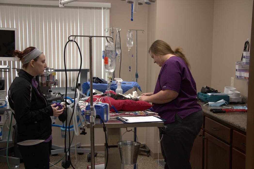 Images Westside Family Pet Clinic